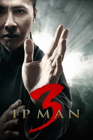 Ip Man 3 2015 Poster