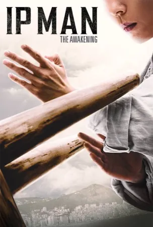 Ip Man: The Awakening 2021 Poster